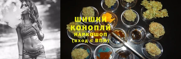 гидра Армянск