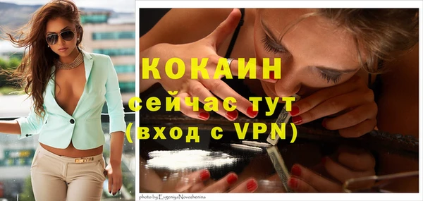 гидра Армянск