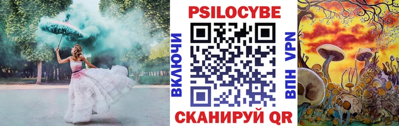 где можно купить   Артём  omg ссылка  Псилоцибиновые грибы мицелий 